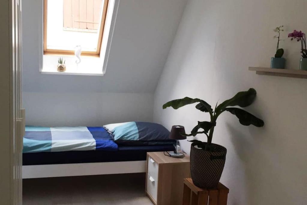 22B Grosse Wohnung Mit Balkon, Smarttv Und Wlan Korb Exterior photo